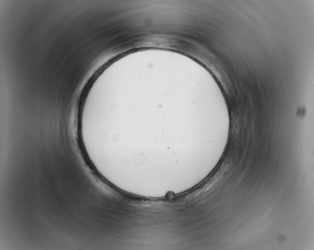 X0000102281131200808221258