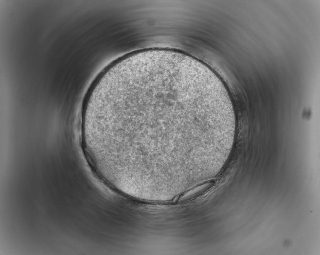 X0000102281132200808221258