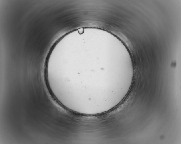 X0000102281135200808221258