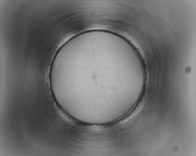 X0000102281137200808221258