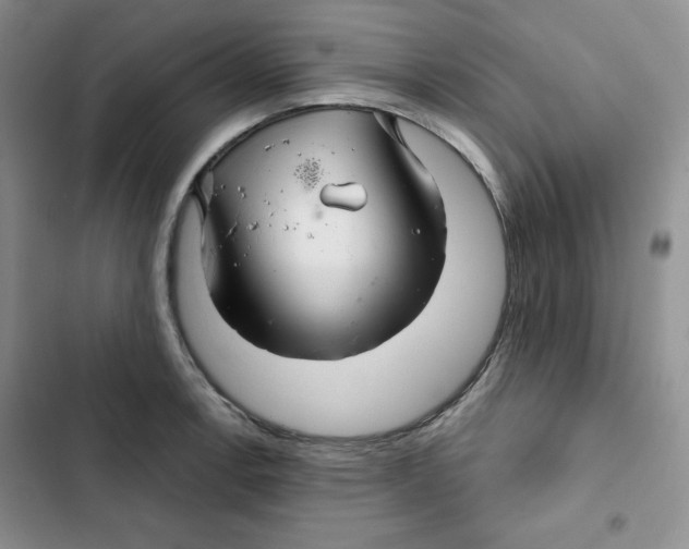 X0000102281138200808221258