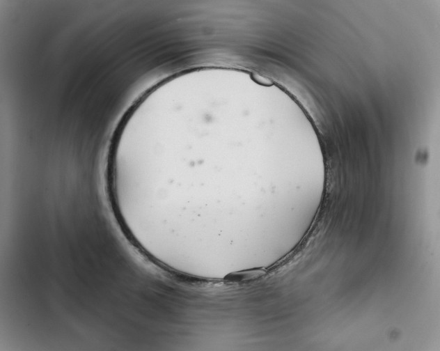 X0000102281139200808221258