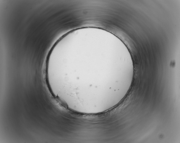 X0000102281140200808221258
