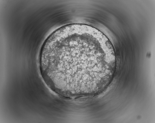 X0000102281141200808221258