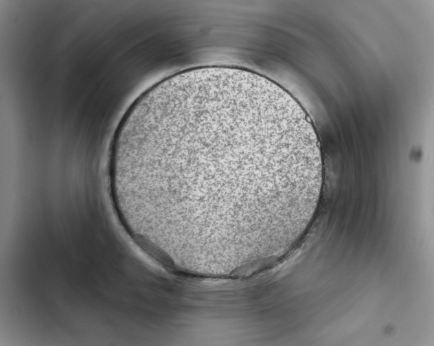 X0000102281142200808221258