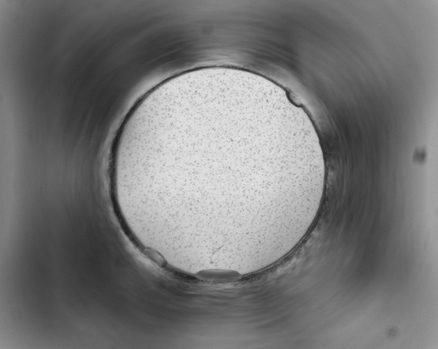 X0000102281143200808221258