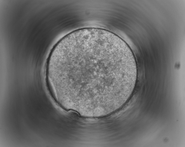X0000102281144200808221258