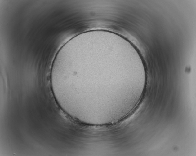 X0000102281145200808221258