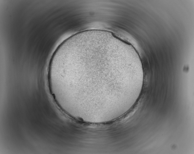 X0000102281146200808221258