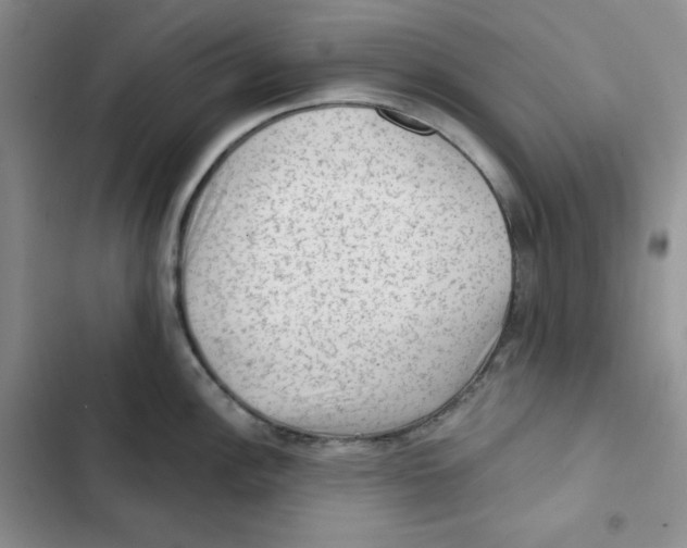 X0000102281148200808221258