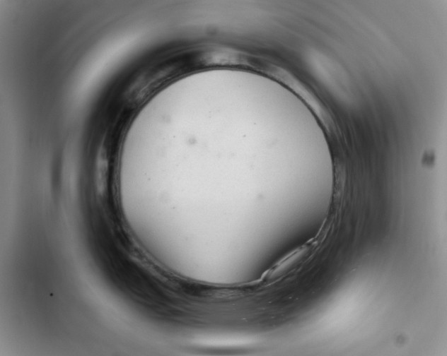 X0000102281151200808221258