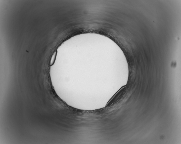 X0000102281153200808221257