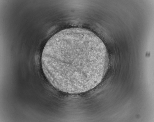 X0000102281154200808221257
