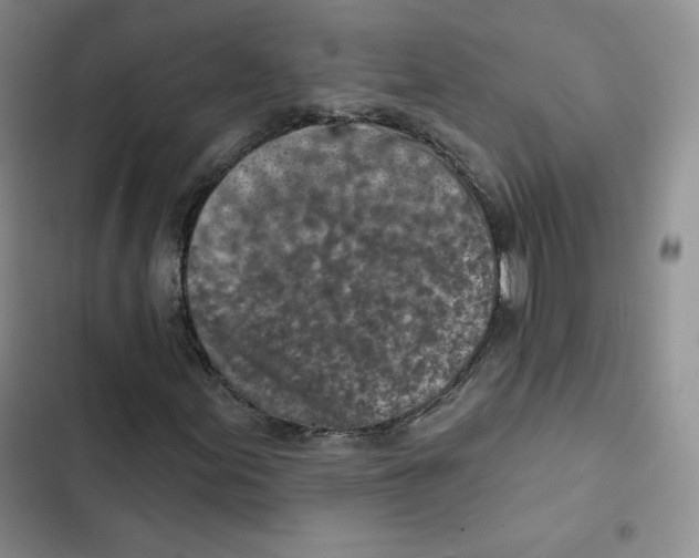 X0000102281155200808221257