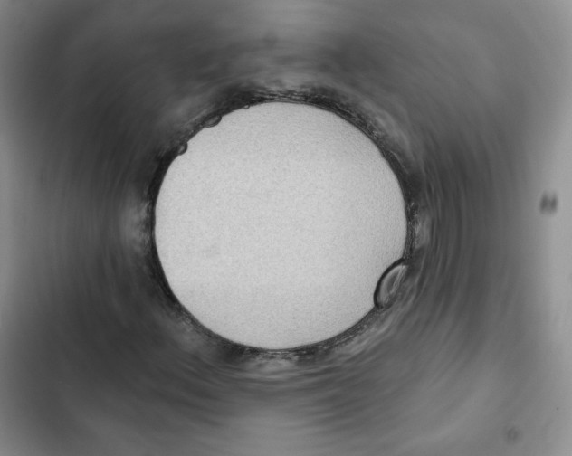 X0000102281156200808221257