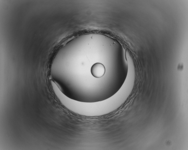 X0000102281157200808221257