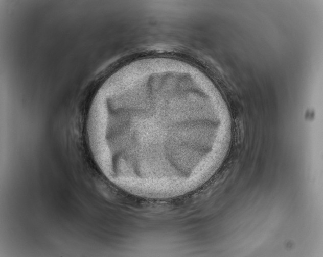X0000102281158200808221257