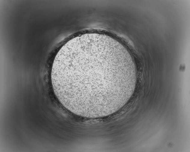 X0000102281159200808221257