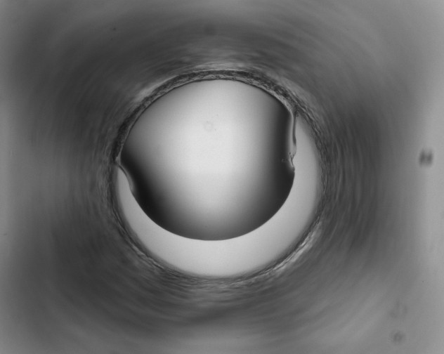 X0000102281161200808221257
