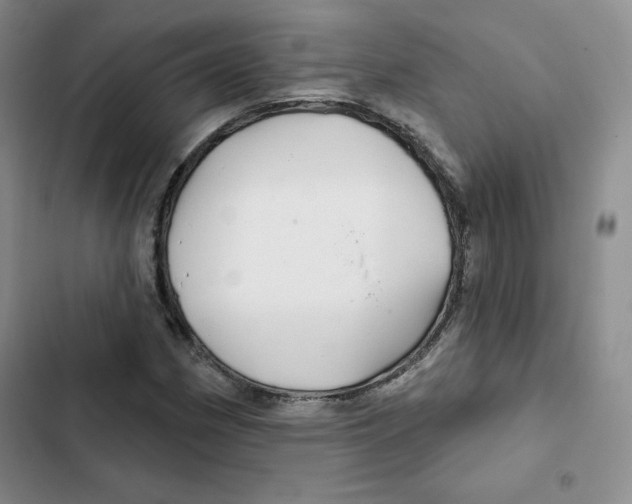 X0000102281162200808221257