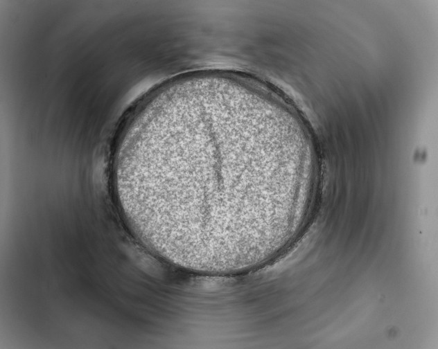 X0000102281163200808221257
