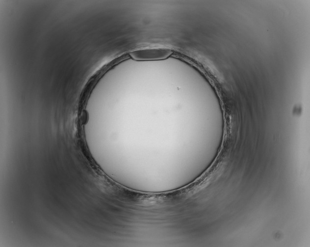 X0000102281165200808221257