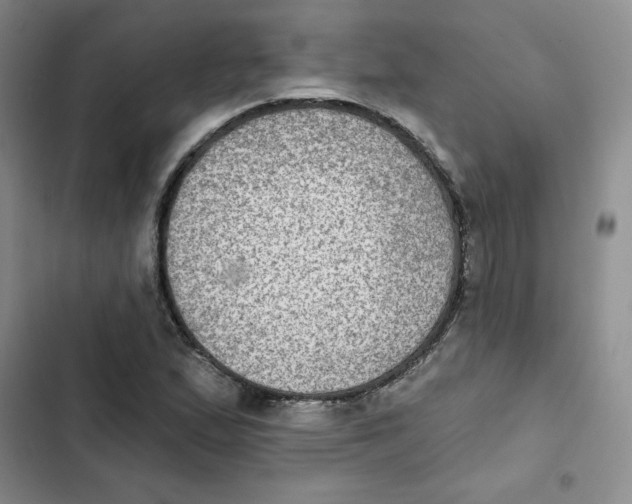 X0000102281167200808221257