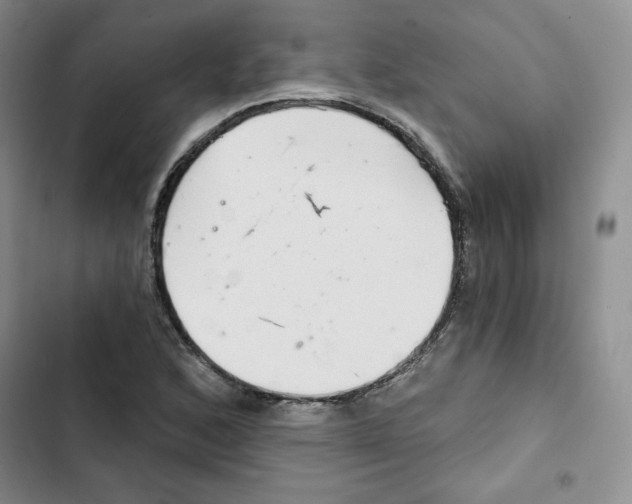 X0000102281168200808221257