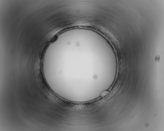 X0000102281169200808221257
