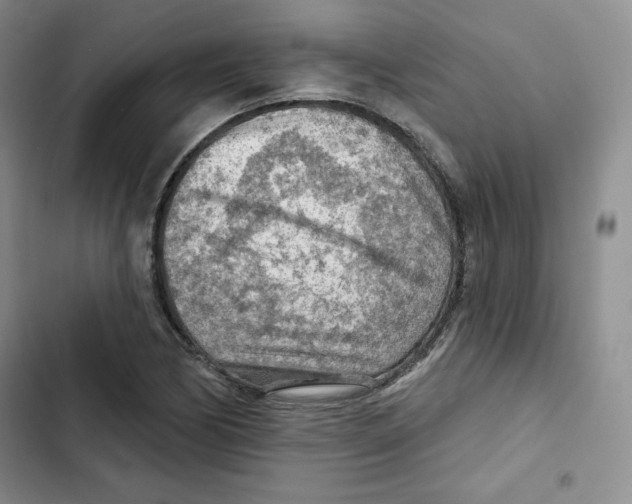 X0000102281170200808221257