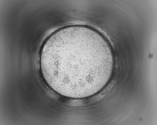 X0000102281171200808221257