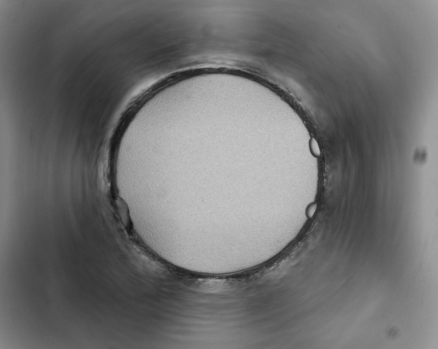 X0000102281172200808221257