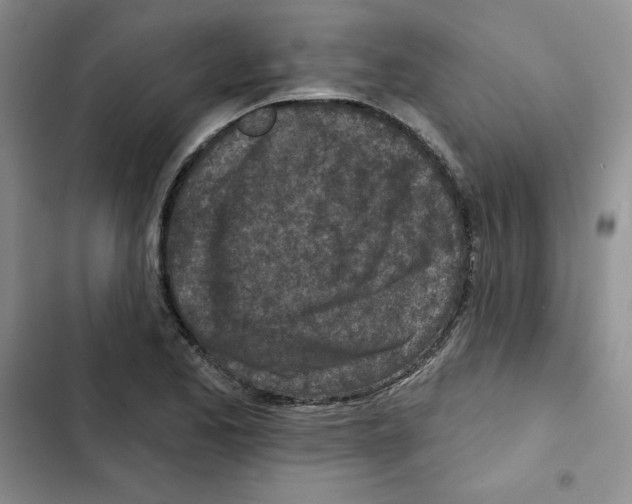 X0000102281173200808221257