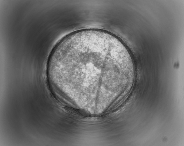 X0000102281174200808221257
