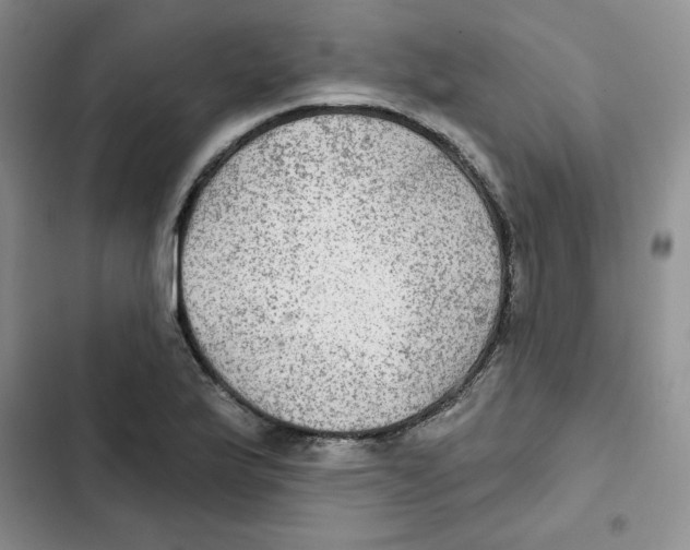 X0000102281175200808221257