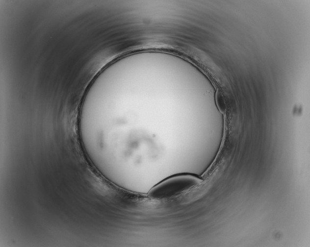 X0000102281177200808221257