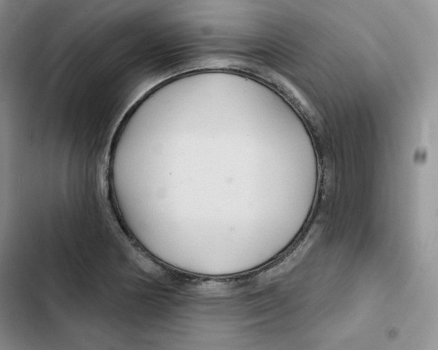 X0000102281178200808221257