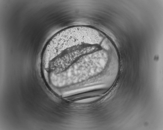 X0000102281179200808221257