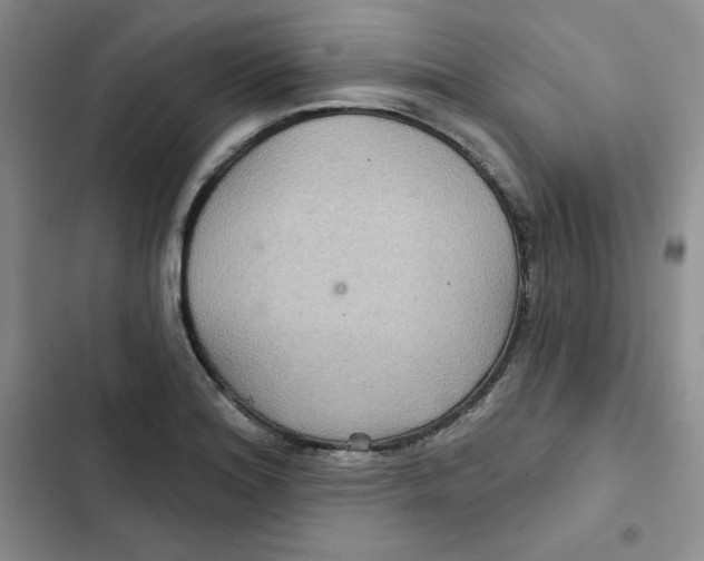 X0000102281180200808221257