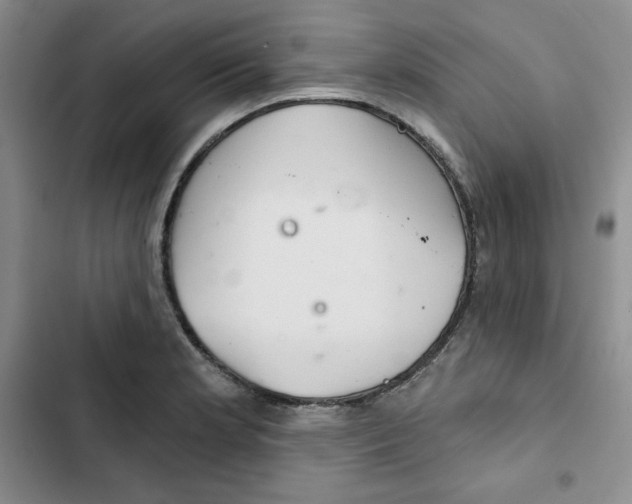 X0000102281181200808221257