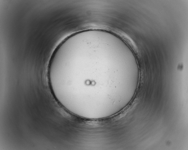X0000102281182200808221257