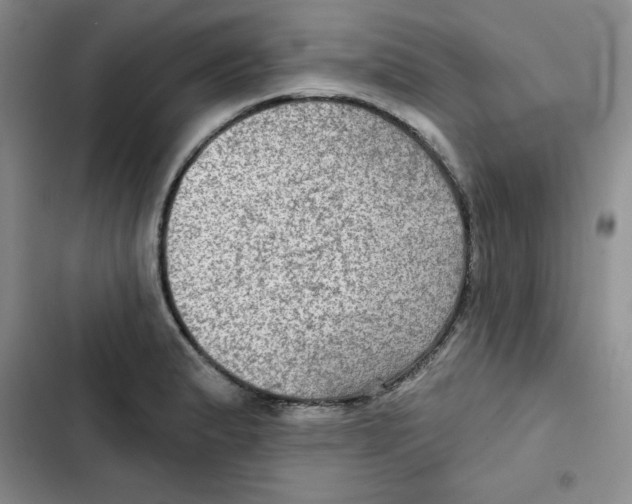X0000102281183200808221257