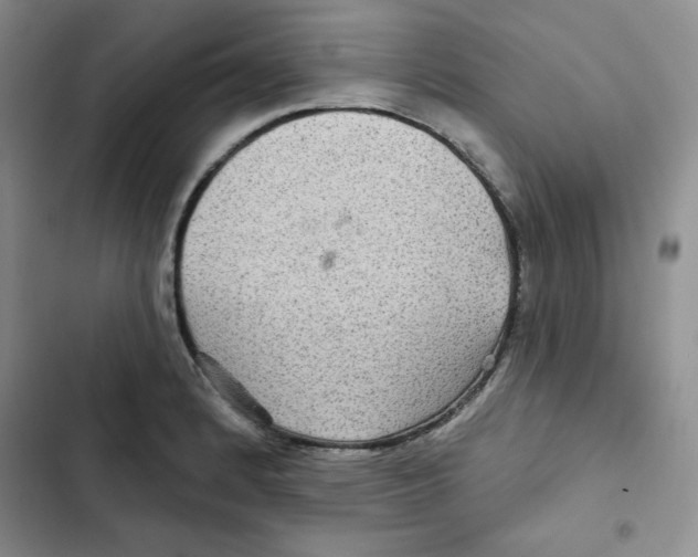 X0000102281184200808221257