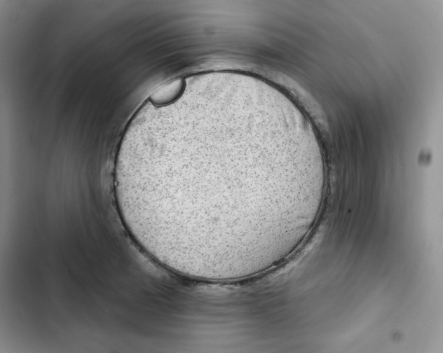 X0000102281185200808221257