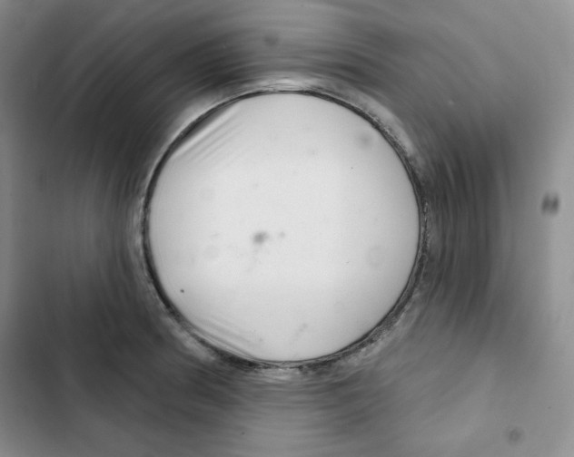 X0000102281186200808221257