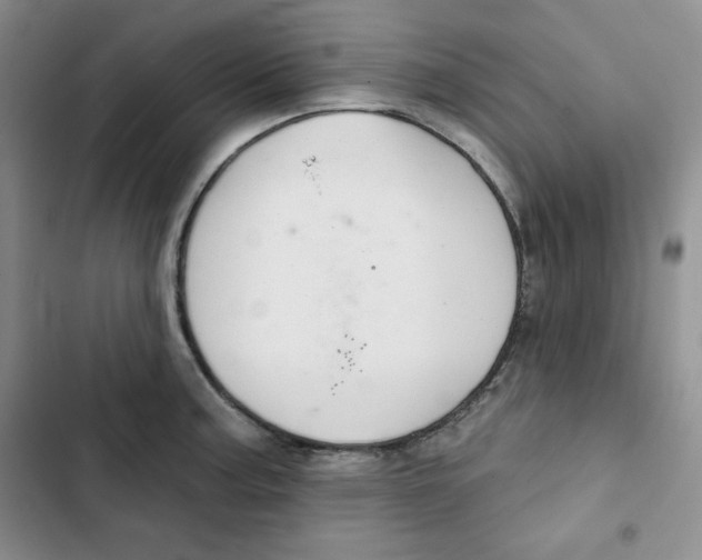 X0000102281187200808221257