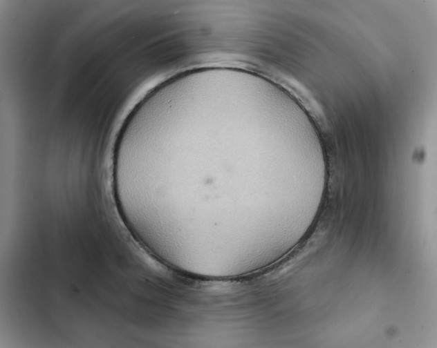 X0000102281188200808221257