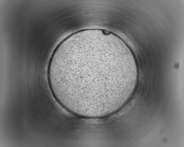 X0000102281189200808221257