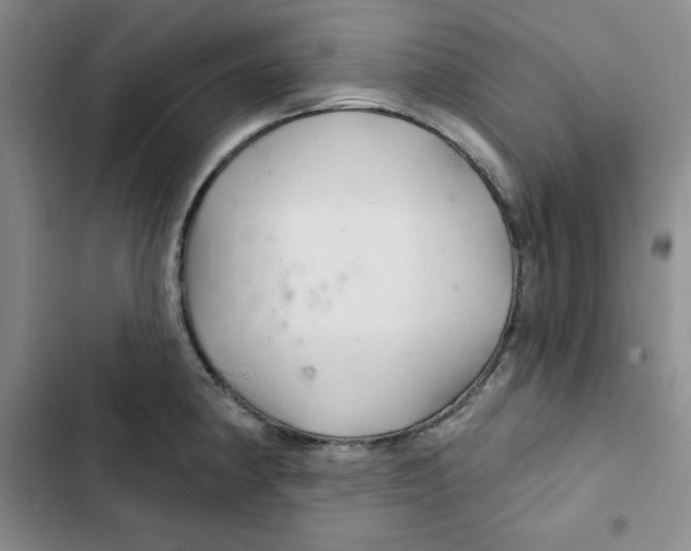 X0000102281190200808221257