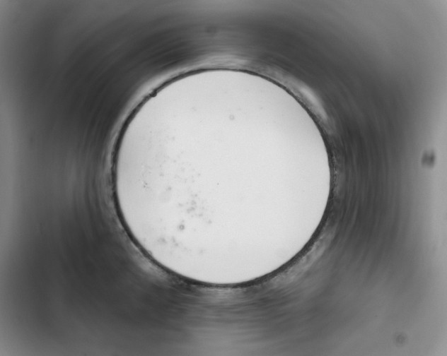 X0000102281192200808221257